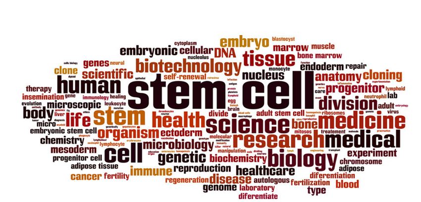 You are currently viewing STEM CELL THERAPY AND ITS ETHICAL CONCERNS